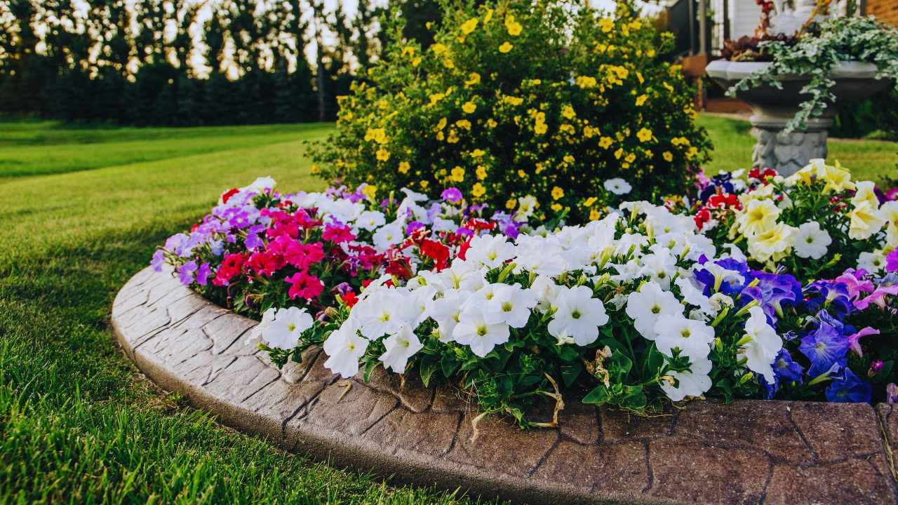 Flower Bed Ideas to Beautify the Front of Your House