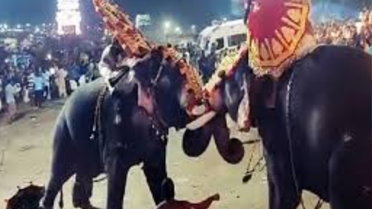 elephants go head to head, wreck panic at kerala’s thrissur pooram parade: old video goes viral