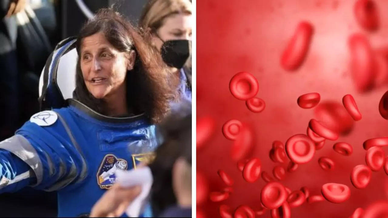 What Is Space Anemia, A Condition That Could Affect Astronaut Sunita Williams