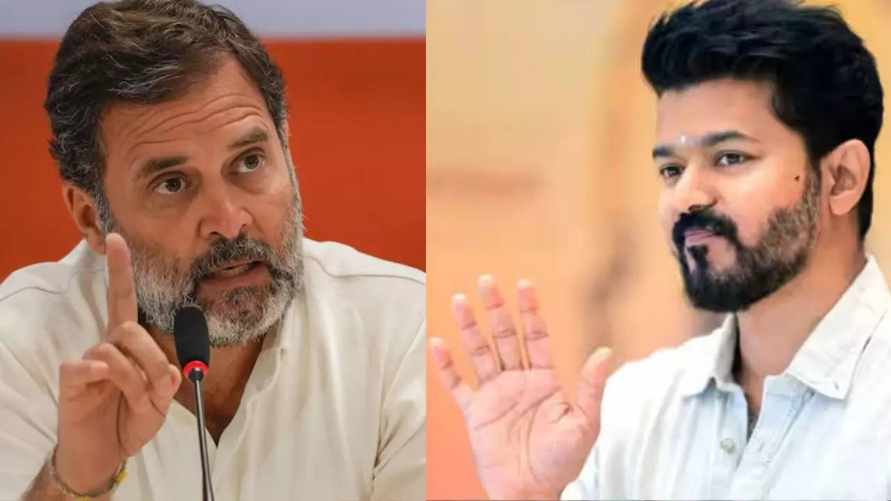 Vijay - Rahul gandhi