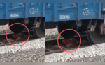 Telangana Woman Survives Train Passing Over Her Heres How She Escaped Unharmed