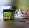 Vastu Tips Where To Place Aquariums In Your Living Room