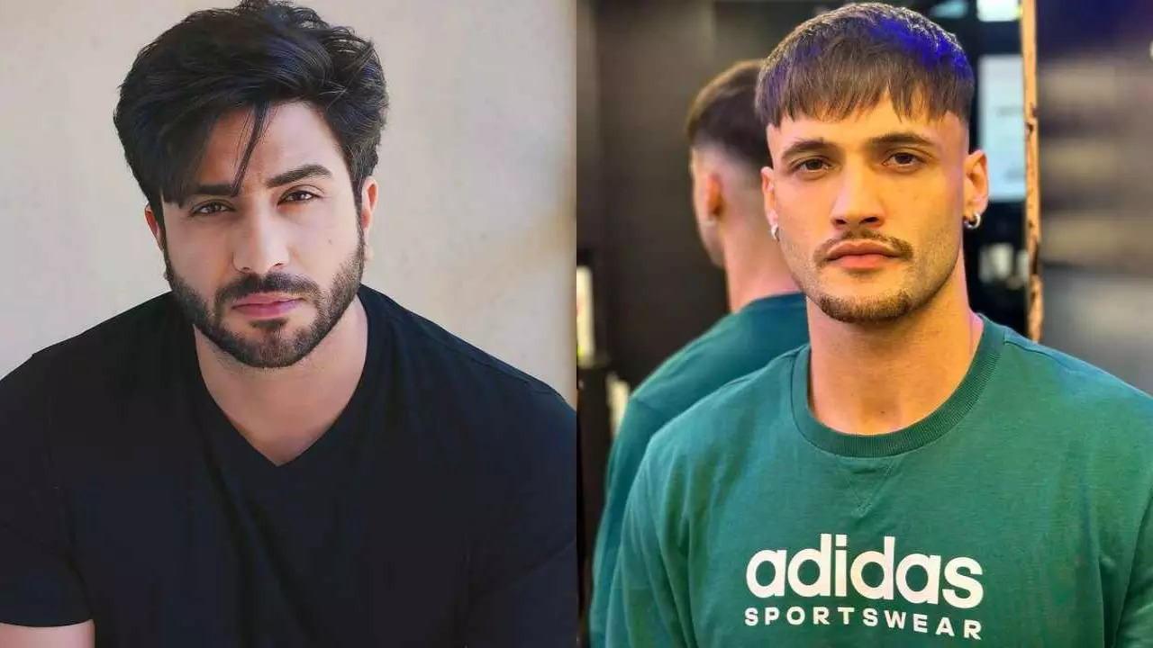 Aly Goni Recalls Struggling Days With Asim Riaz: 'We Fainted During Photoshoots, Earned Rs 150...'