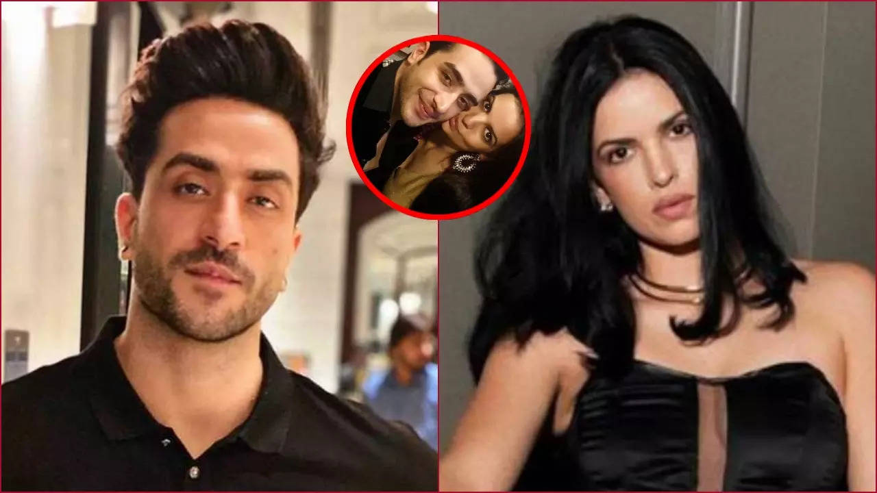 Did Aly Goni Break Up With Natasa Stankovic Due To Family? Actor Says 'Usne Mujhe Bola Ki...'