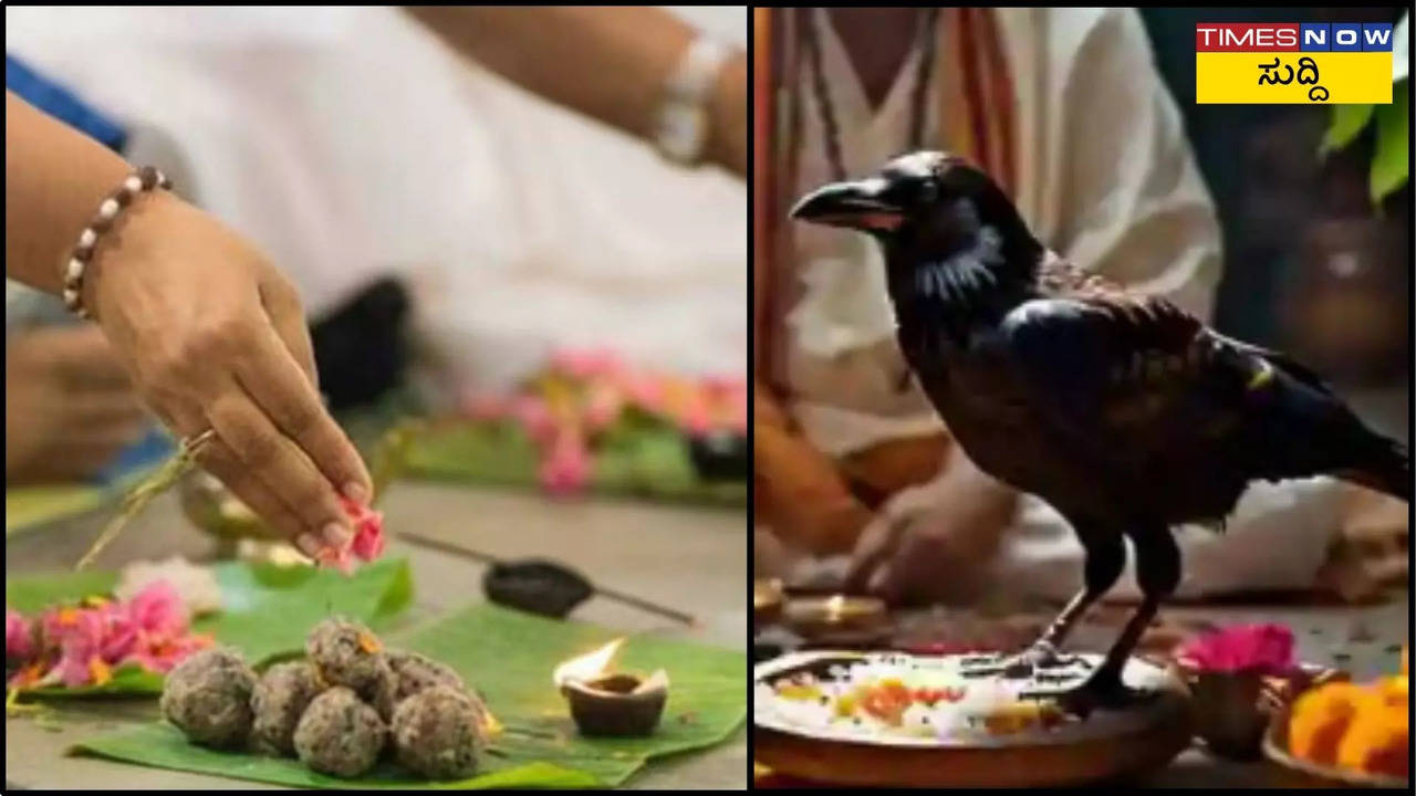 pitru paksha 2024, why crows are fed during shraddha karma