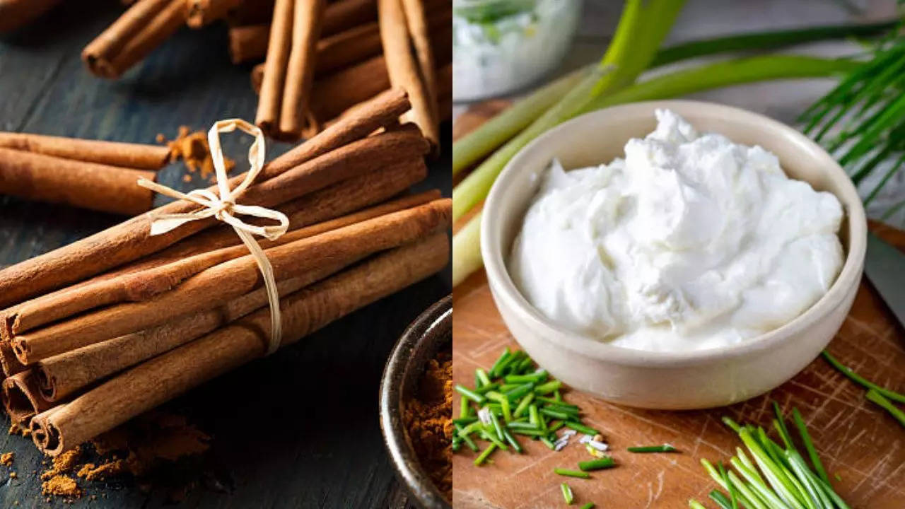 Can Cinnamon And Curd Help Improve Blood Sugar Levels And Insulin Sensitivity? Expert Answers