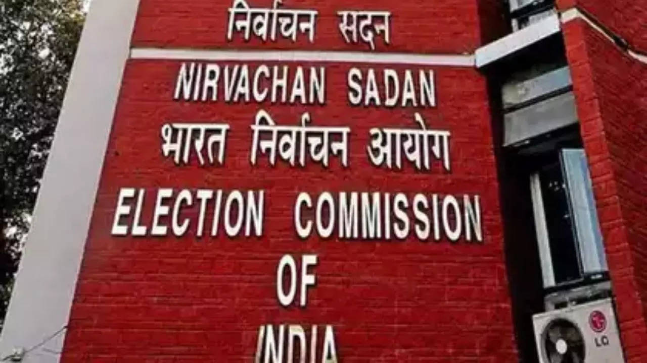 ec notice to haryana bjp over child in campaign video