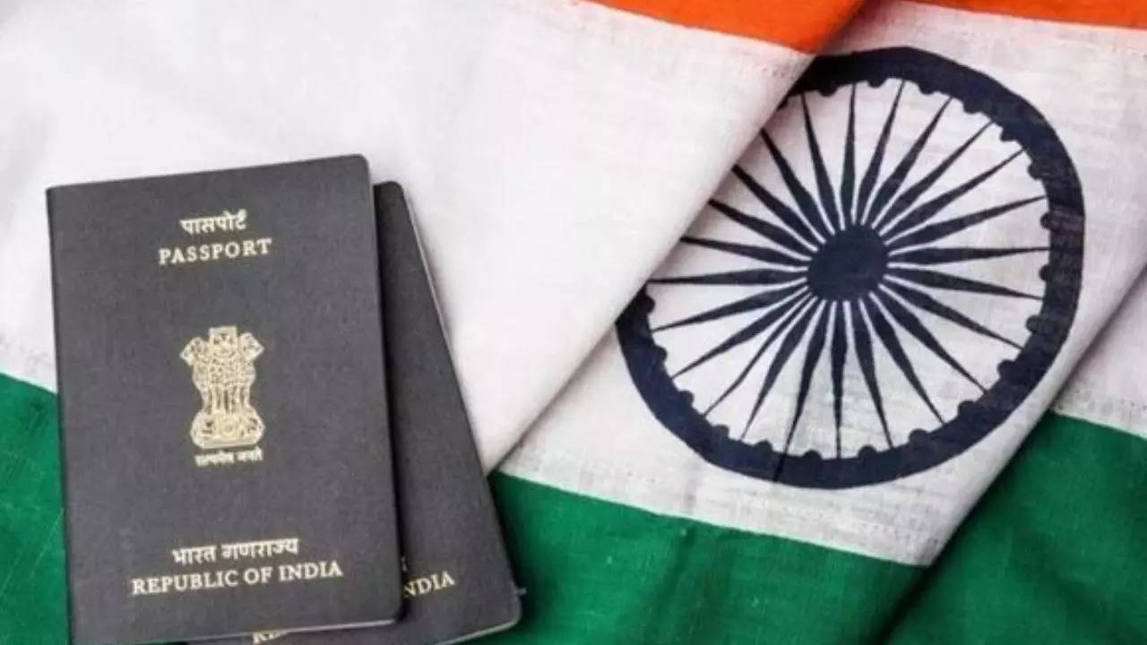 passport seva online portal down till september 2 for maintenance