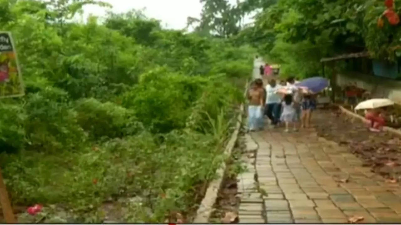 Mumbai's urban forest