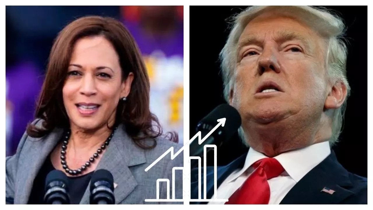 Harris Trump Betting Odds