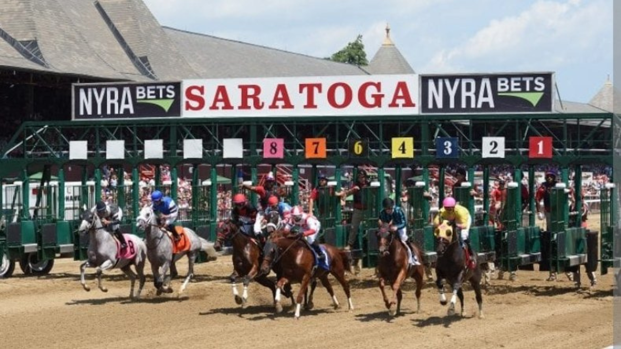 saratoga race track accident: tragic video shows horses stumbling, collapsing