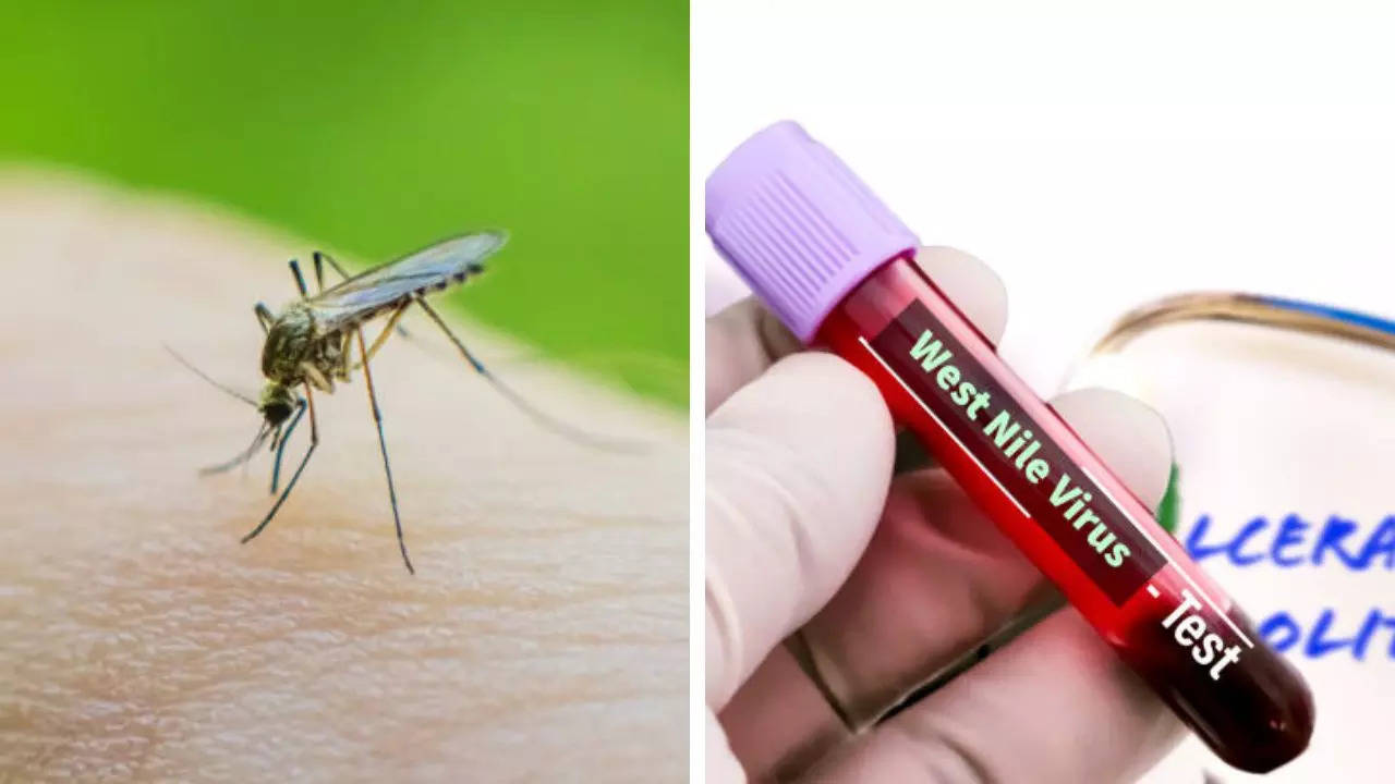 2 More Deaths Reported Due To West Nile Virus in New Jersey; How To Protect Yourself From The Infection