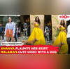 Ananya Panday shows off her blingy skirt  Malaika Aroras CUTE interaction with a dog