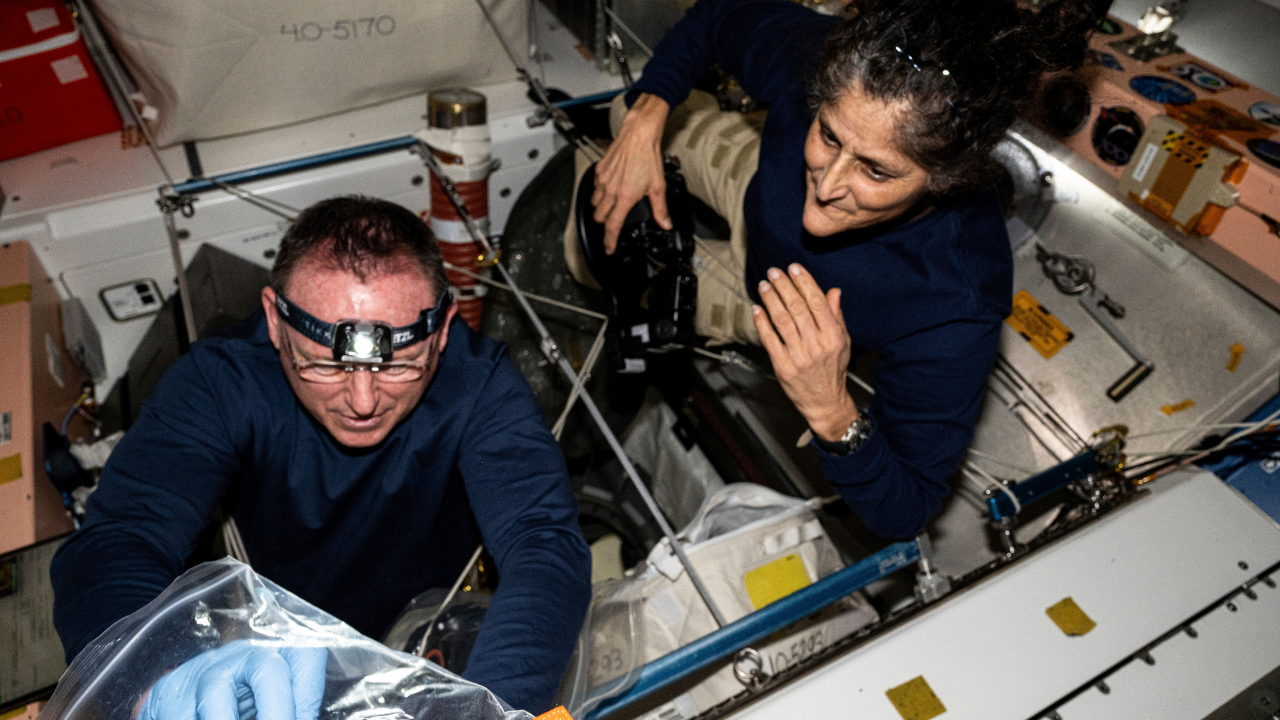 NASA astronauts Barry Wilmore and Sunita Williams