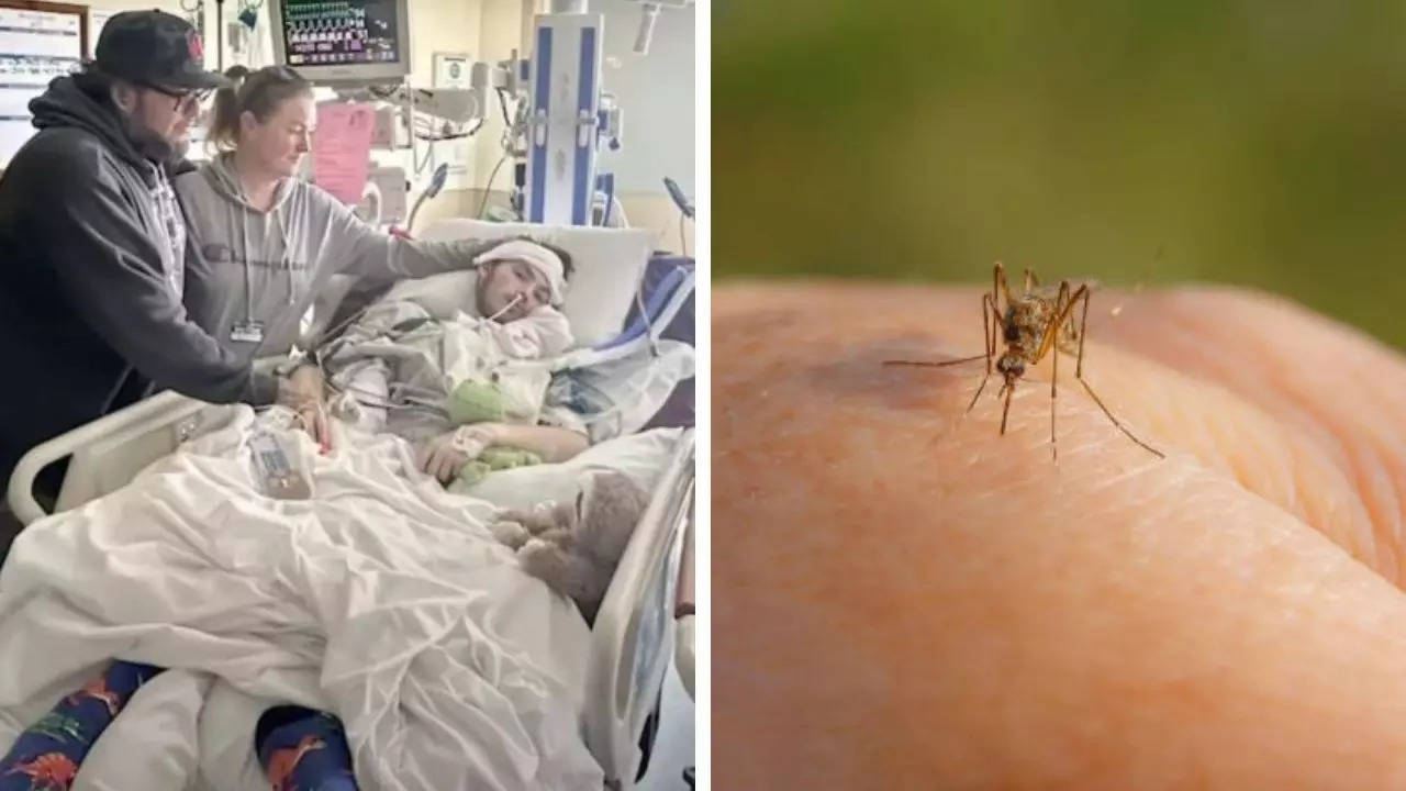 US Teen Left Paralyzed Neck Down After Contracting West Nile Virus From Mosquito Bite