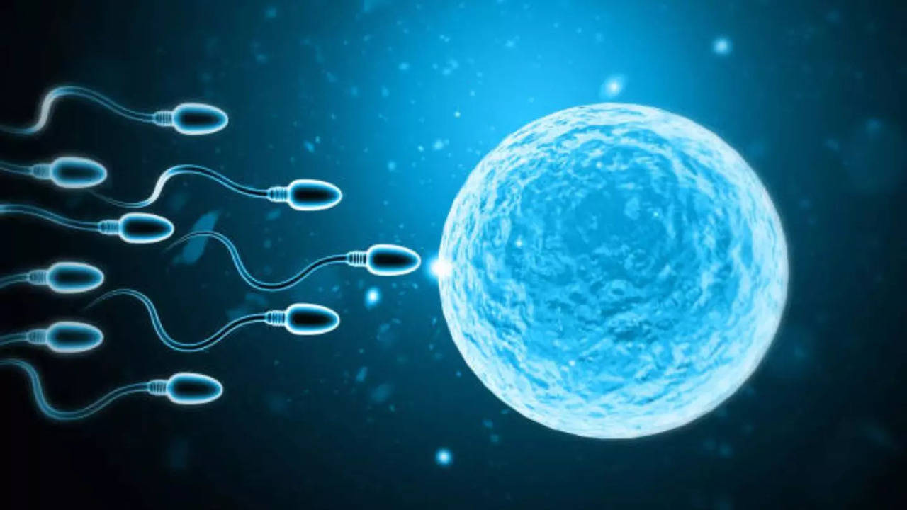 Male Infertility At Alarming Levels in India