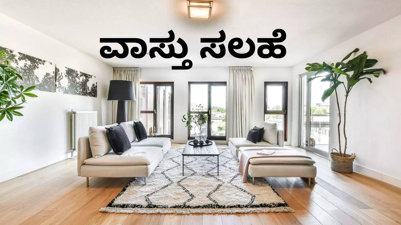 vastu tips never ignore these items in the drawing room at home