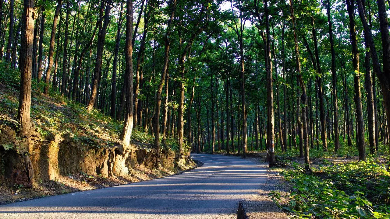 get ready to travel from delhi to dehradun in just 2.5 hours