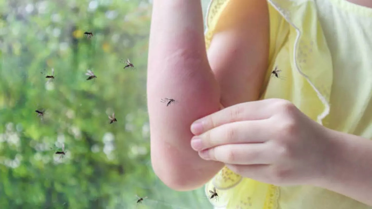 Recognizing Severe Dengue In Children: Warning Signs And Emergency Care