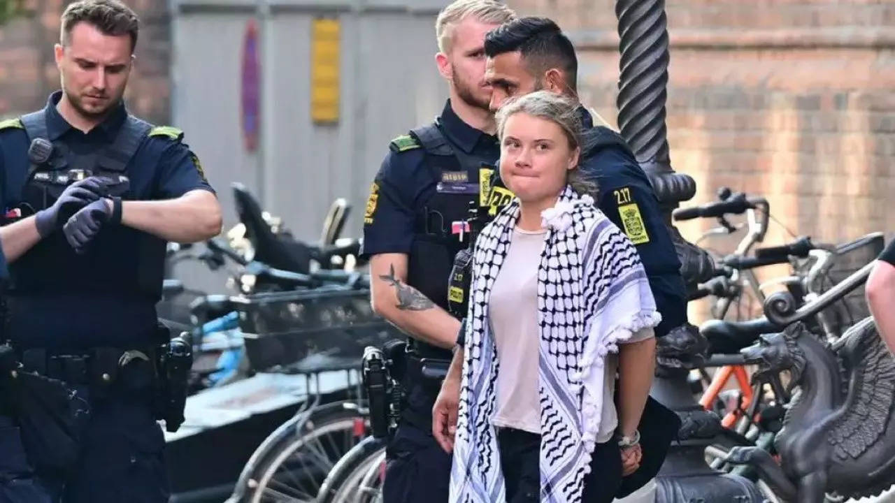 Greta Thunberg Arrested (Image: X)