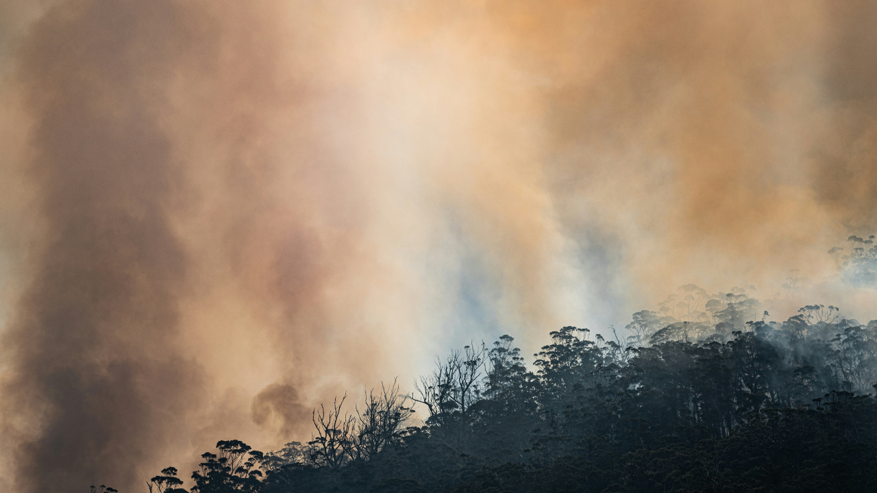 Bush Fire Representational - Unsplash