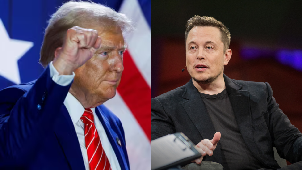 Donald trump Elon Musk