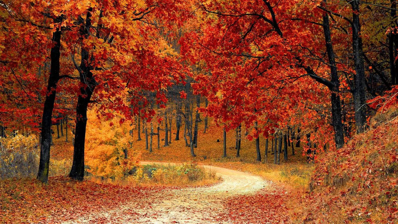 make the best of fall season at these 5 national parks in us