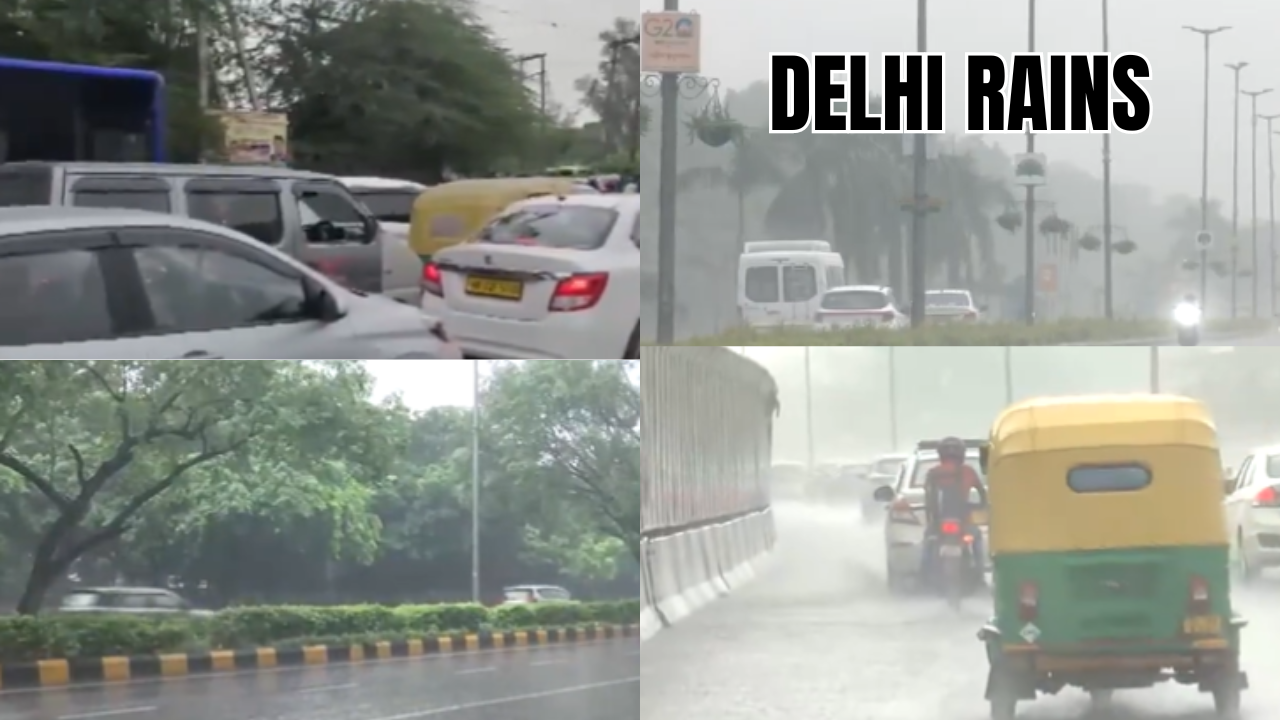 delhi rains: showers in national capital lead to waterlogging and traffic snarls-visuals