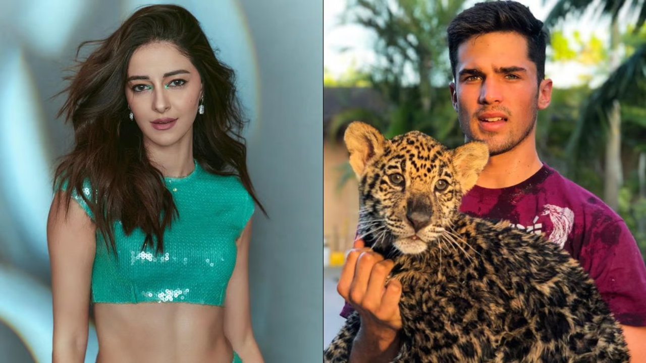 Call Me Bae: Ananya Panday Gets A Special Shoutout From Rumoured Boyfriend Walker Blanco, Check It Out