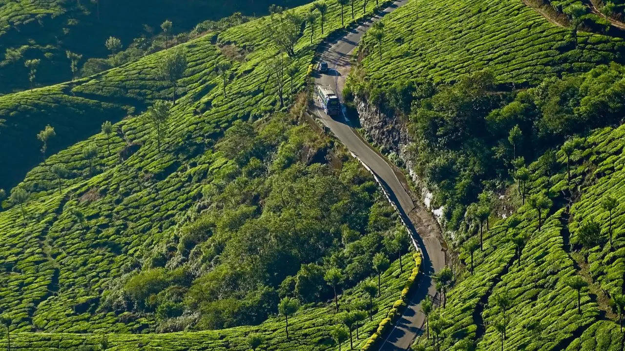 best places to visit in munnar kerala