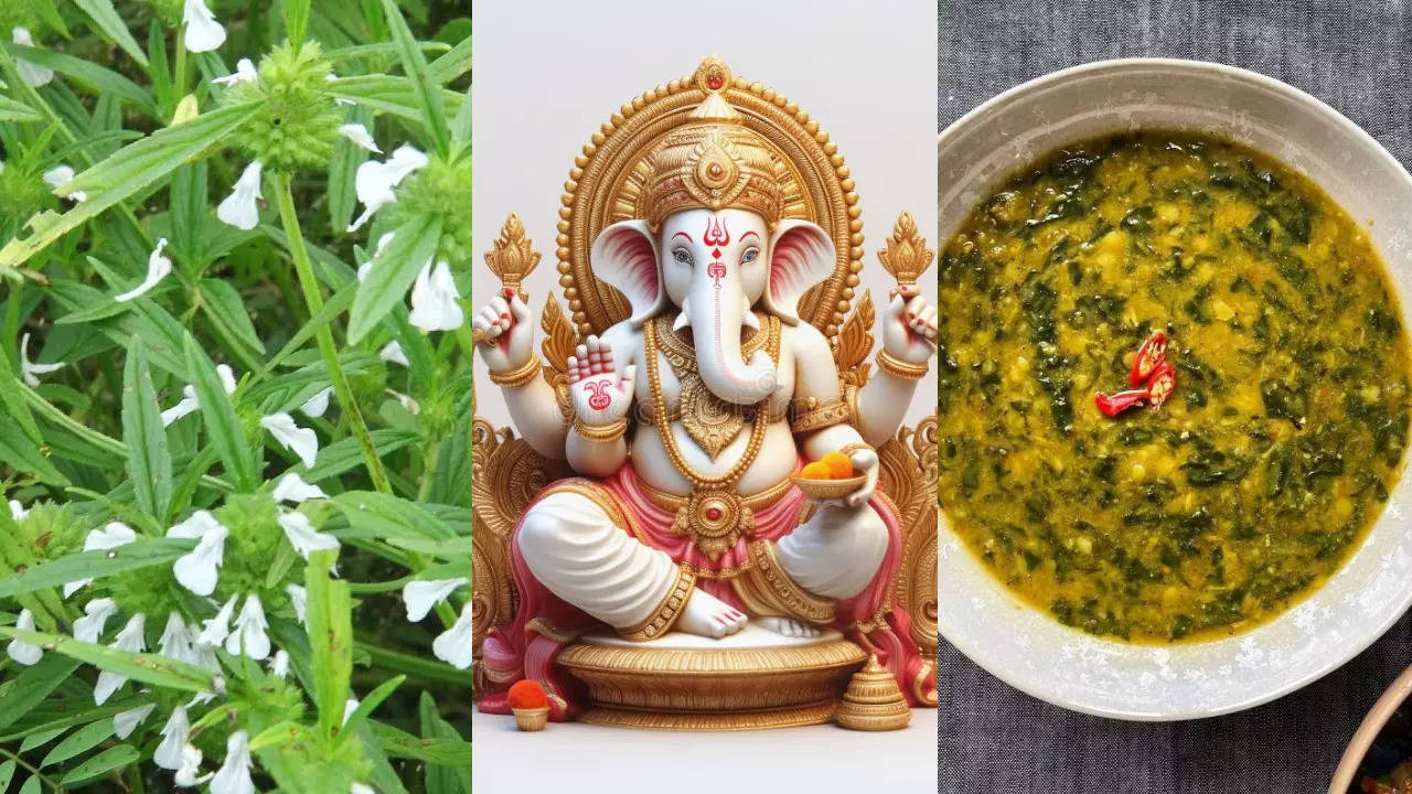 vinayaka chavithi this is lord ganesha's favorite green leaf vegetable