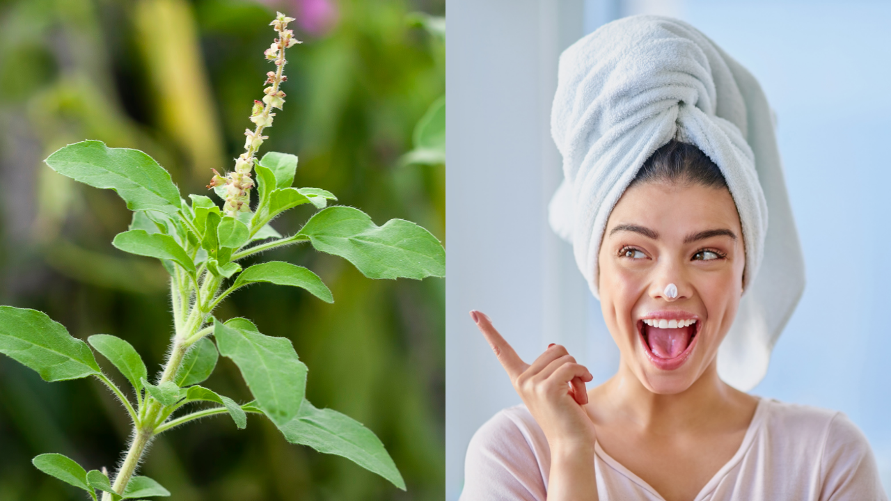 tulsi can be a game changer: know its benefits and how to use it in your skincare