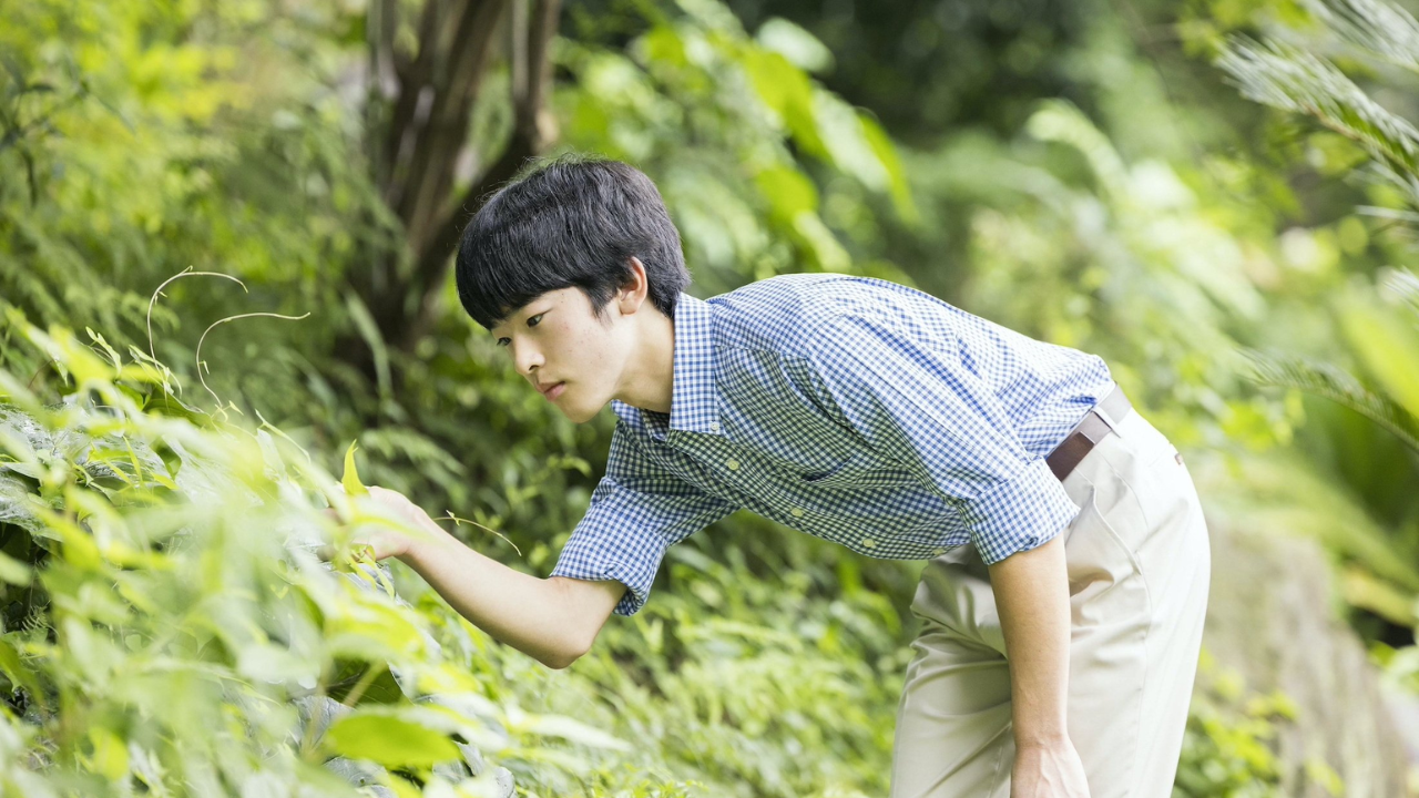 prince hisahito becomes 1st royal male to turn 18 in 40 years: what this means for japan’s aging imperial family