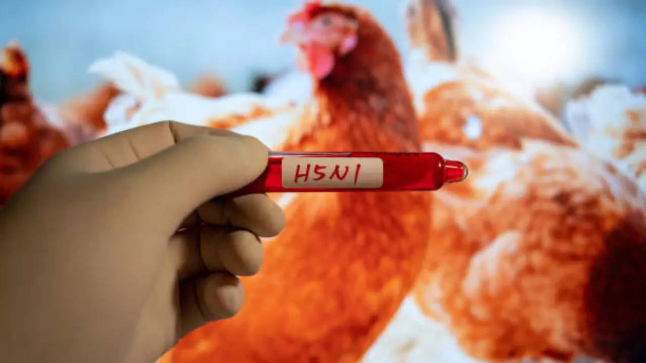 Missouri Man Contracts Bird Flu Without Known Contact With Animals