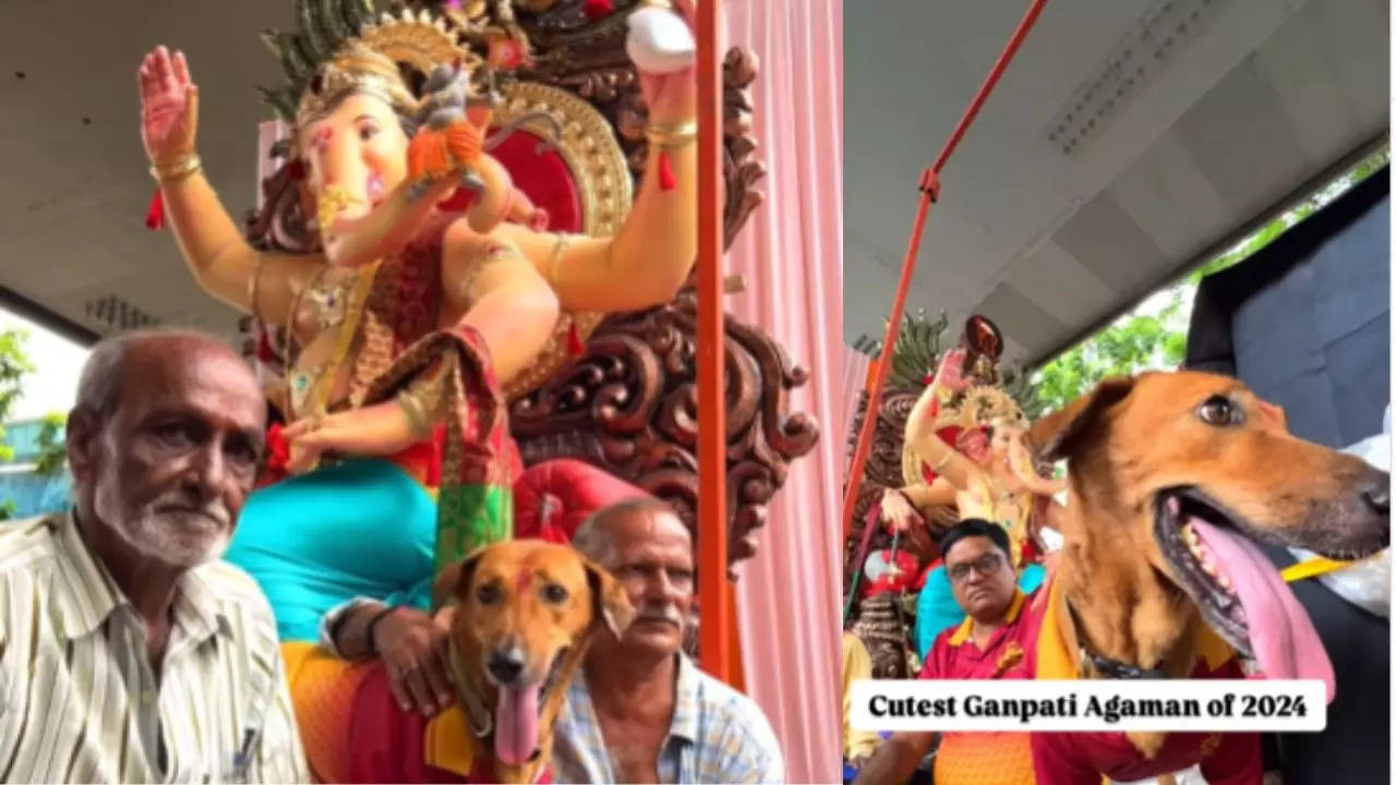 Dog Dressed Up Joins Ganesh Puja Festivities in Mumbai’s Bandra