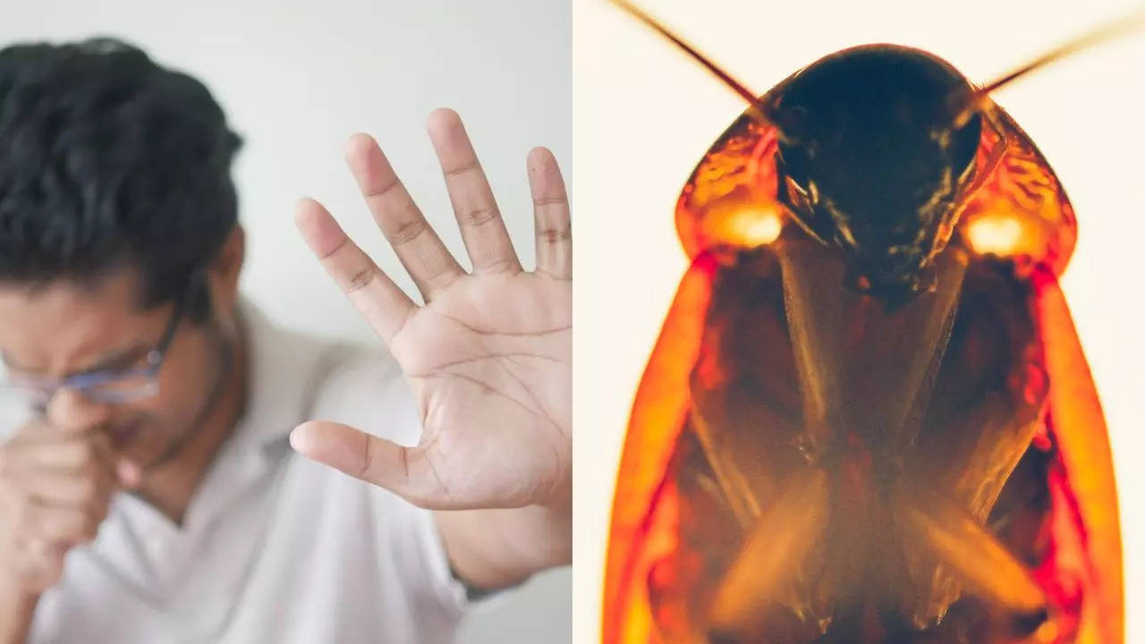 Man Discovers Cockroach in Throat After Waking Up