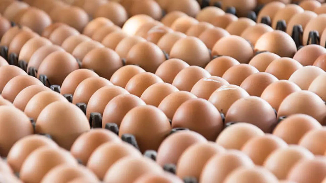 Wisconsin Recalls Eggs After a Multistate Outbreak of Salmonella; Know All About The Infection