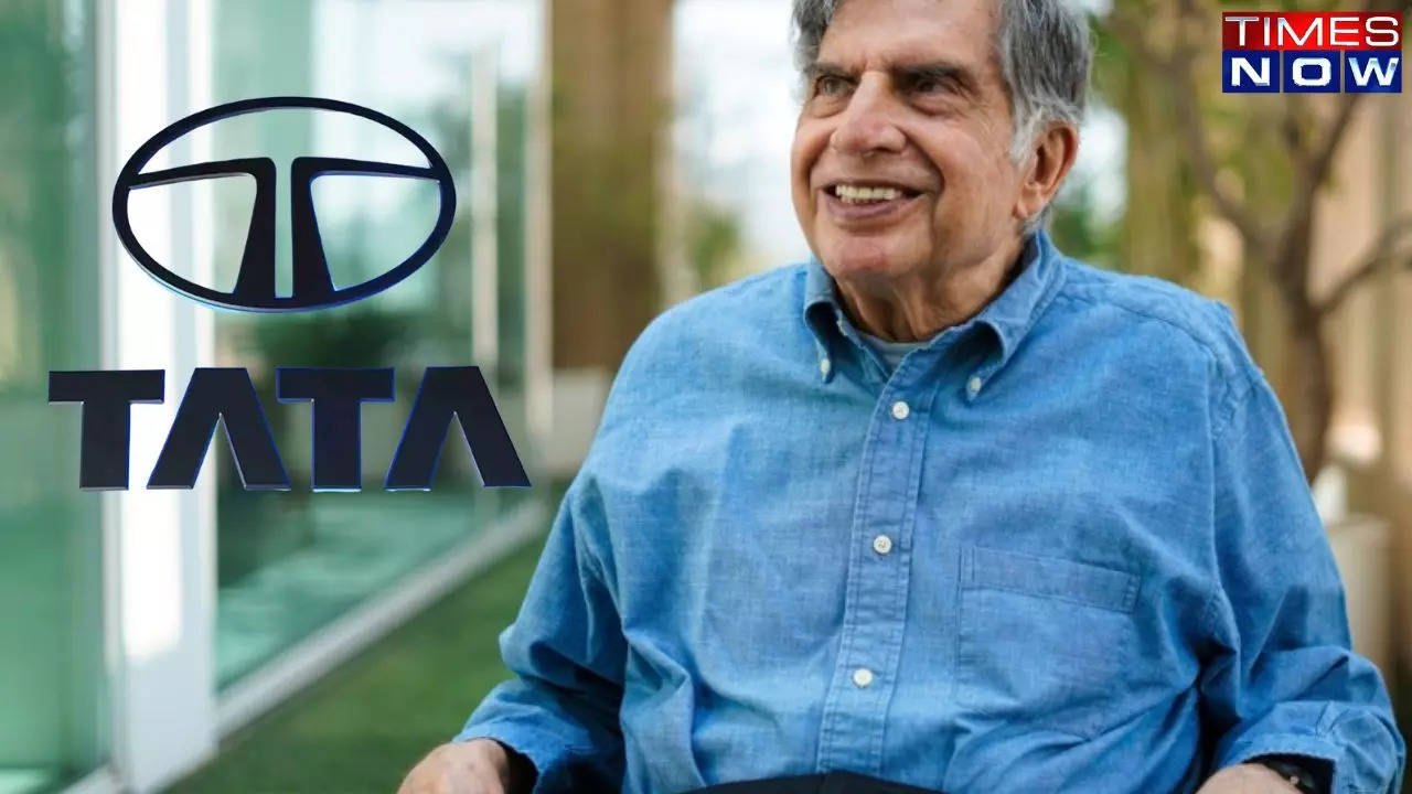 Tata Group, ratan tata, tata group investment, tata group business portfolio, tata group companies