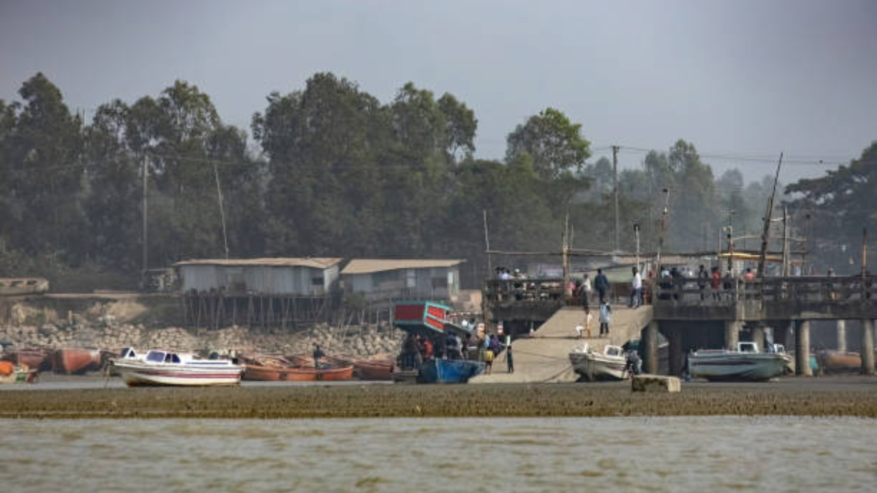 roro ferries