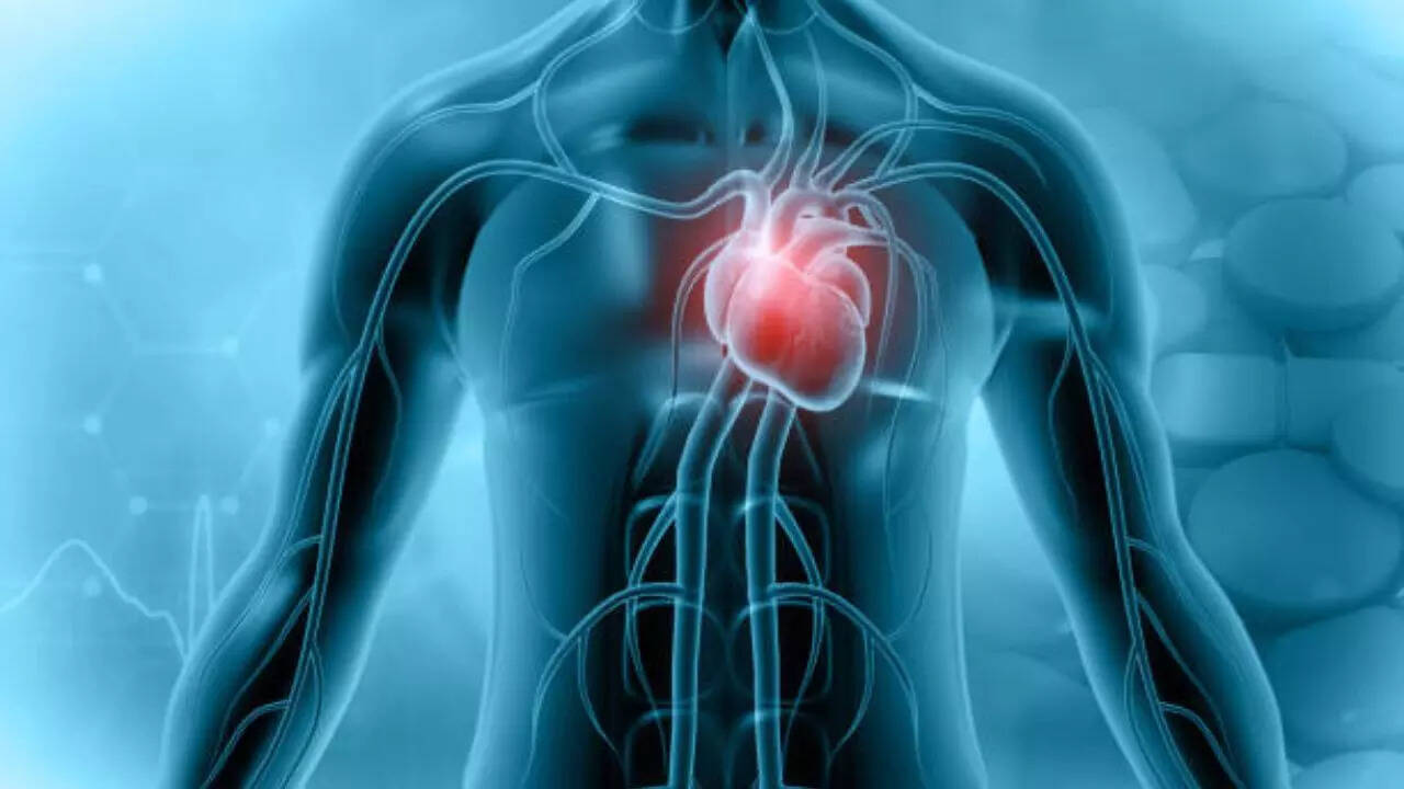 Scientists Uncover Surprise Source of Cardiac Inflammation