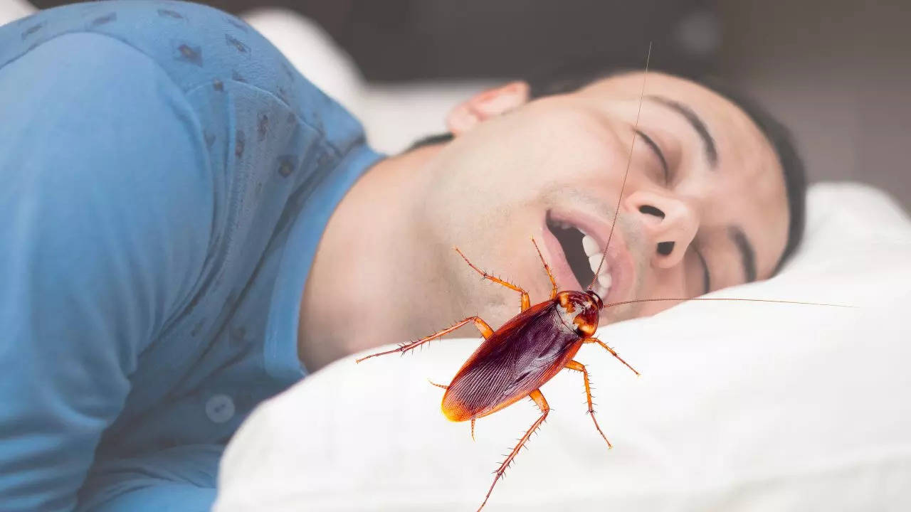 Bizarre News in china cockroach enter human nose then happened terrible things