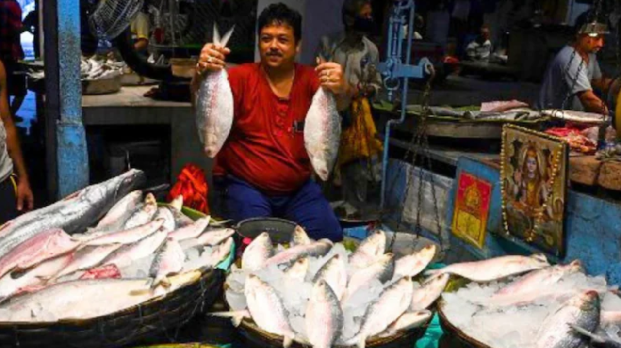 Bangladesh's interim government bans hilsa fish export to India