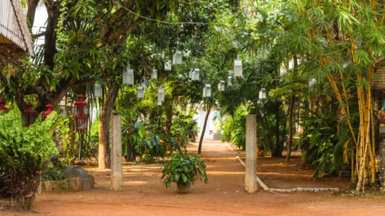 Representative Image: A Park In Kochi