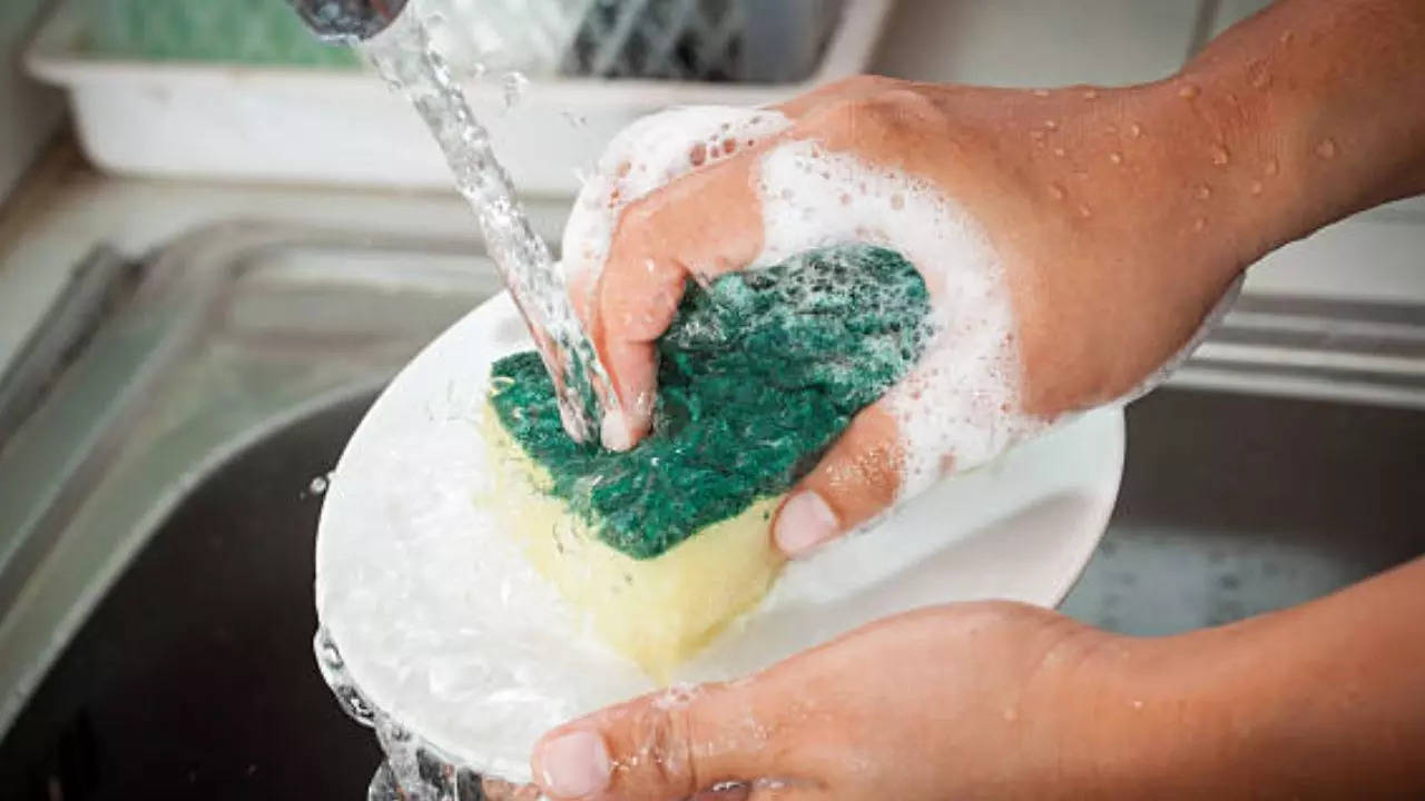 Are Your Kitchen Sponges Making You Sick? Know Health Risks To Keep Yourself Safe