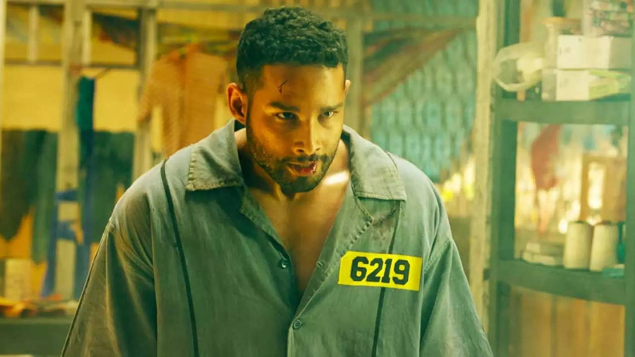 Siddhant Chaturvedi's Yudhra Has THIS Connection With Shah Rukh Khan's Pathaan