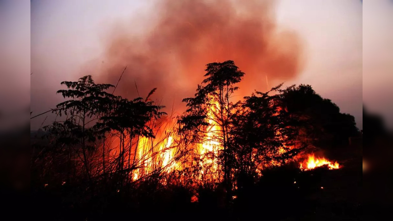 Wildfires In California