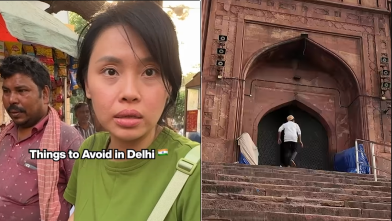 delhi vlogger