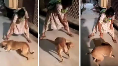 UP Woman Ties Rat With Thread, Feeds It To Stray Dog: Video Goes ...
