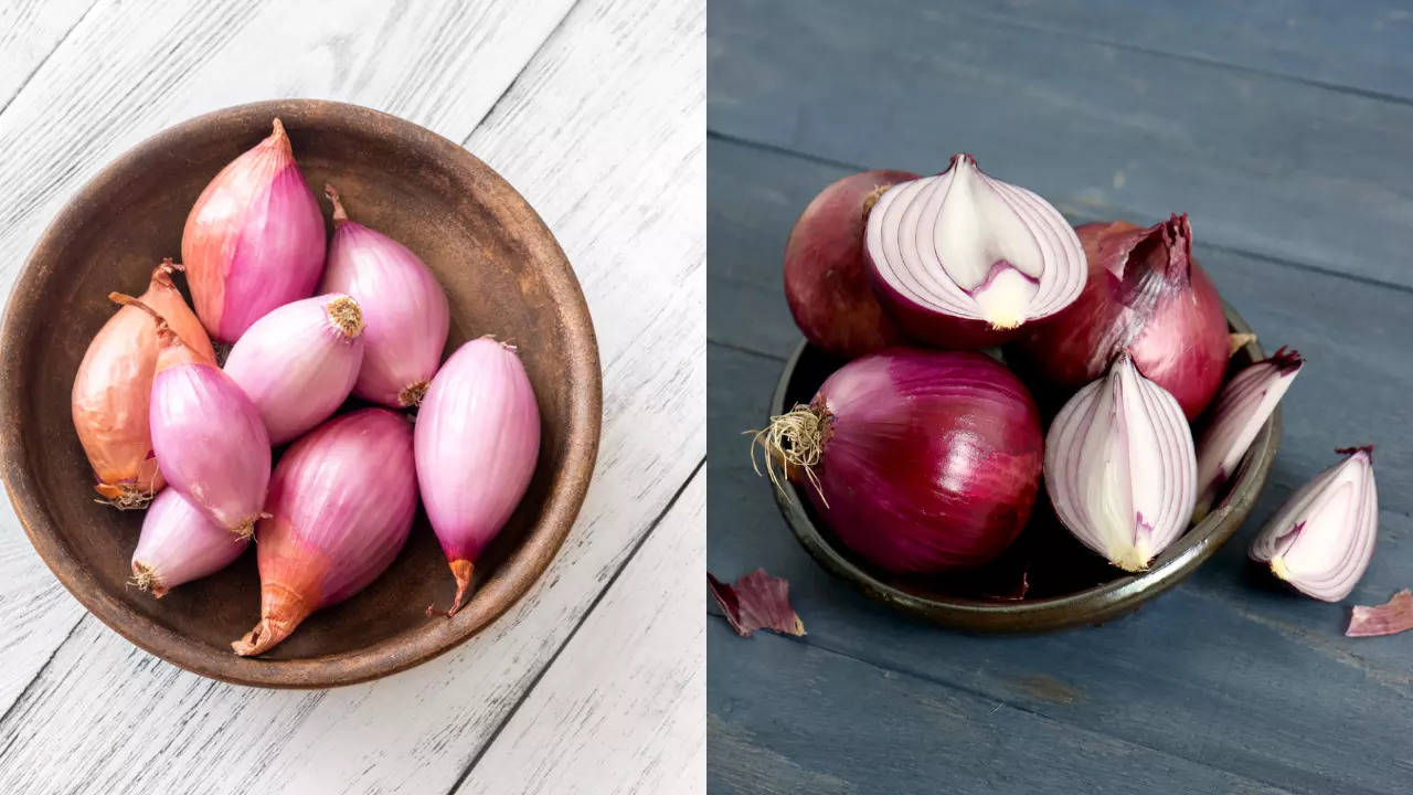 Shallots Vs Onion