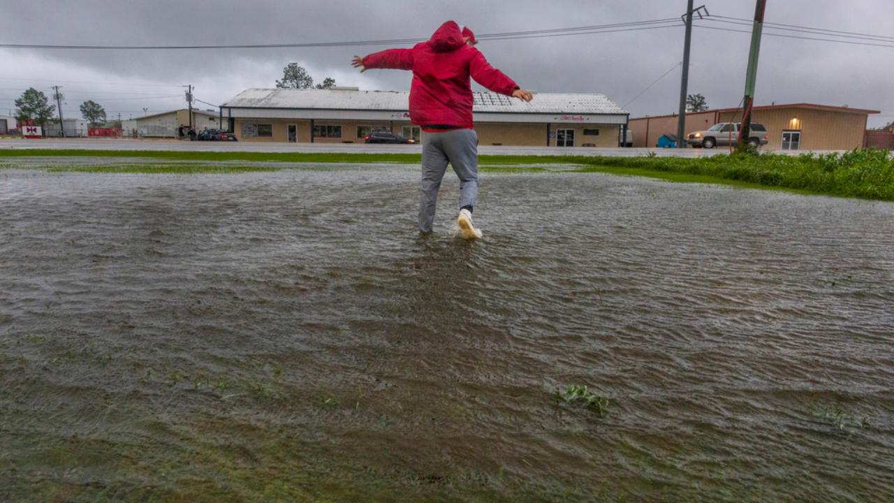 Hurricane Francine - AP (1)